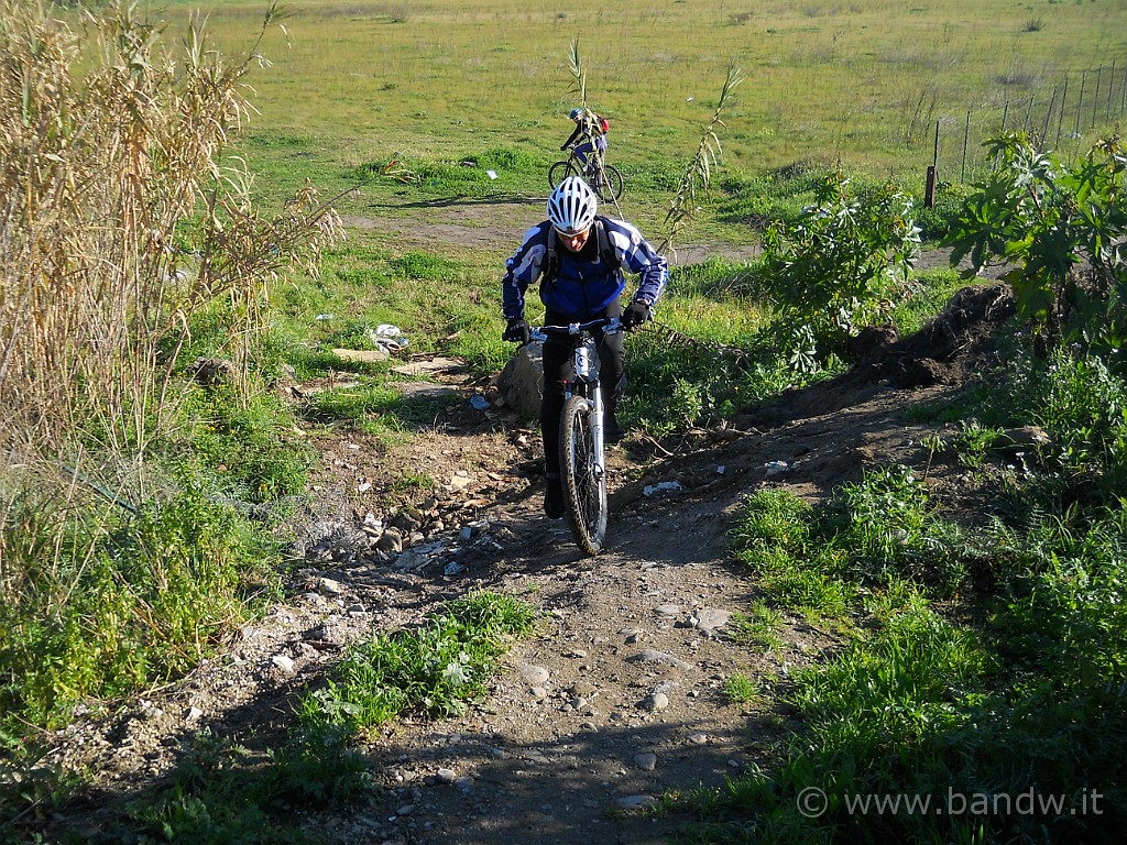 DSCN3324.JPG - Giungiamo nei pressi del fiume Simeto dove lo costeggeremo pedalando sull'argine