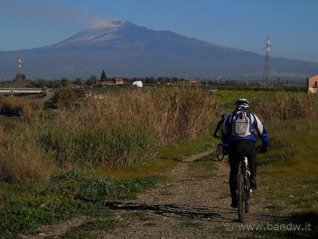 DSCN3333.JPG - Imbocchiamo finalmente l'argine del Simeto