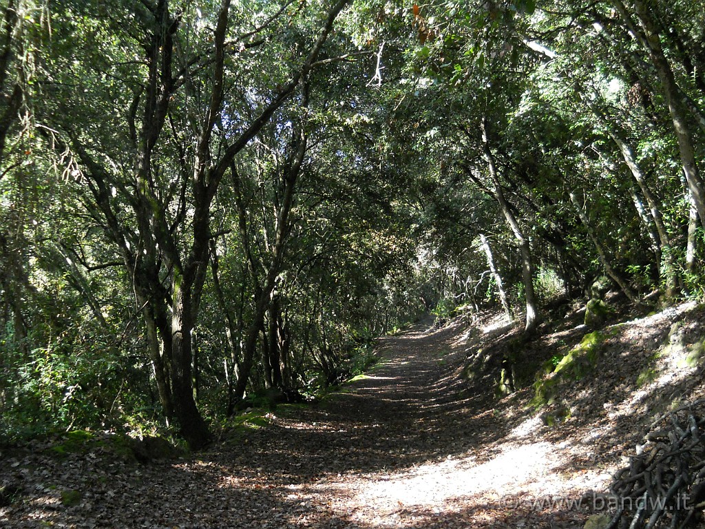 DSCN8026.jpg