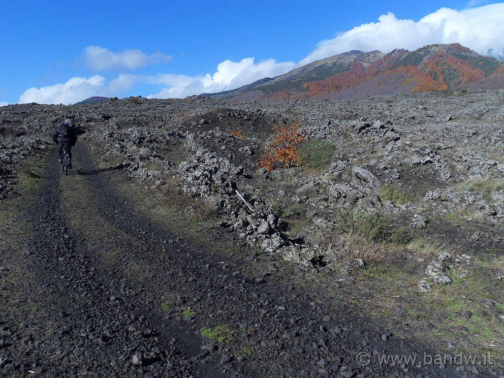 SDC10014.JPG - Bellissimo paesaggio dell'Etna