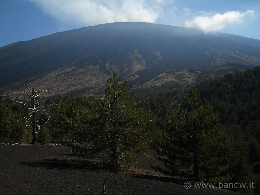 DSCN6693.jpg