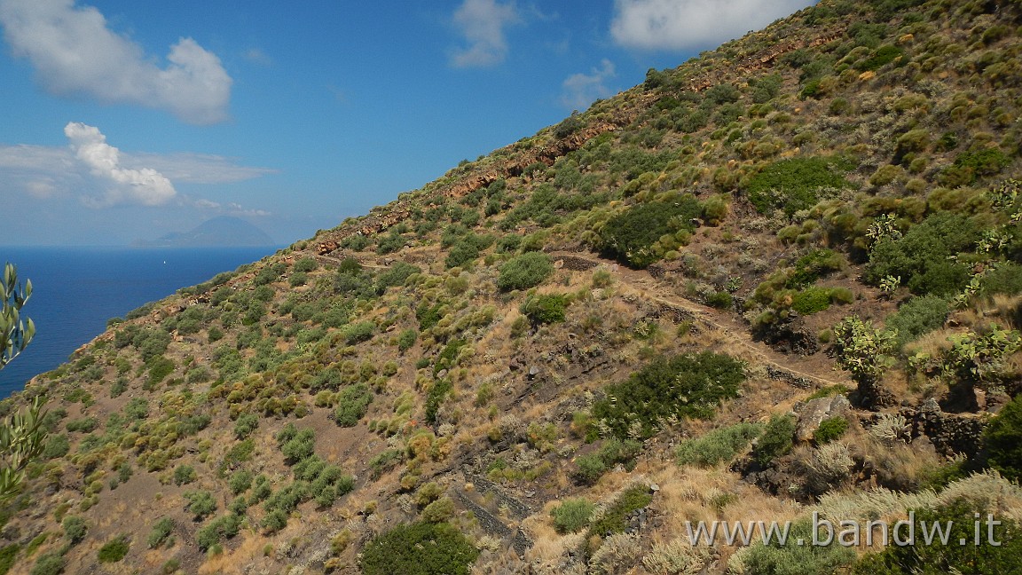 DSCN3422.JPG - Sentiero da Trekking che scende da Monte dei Porri