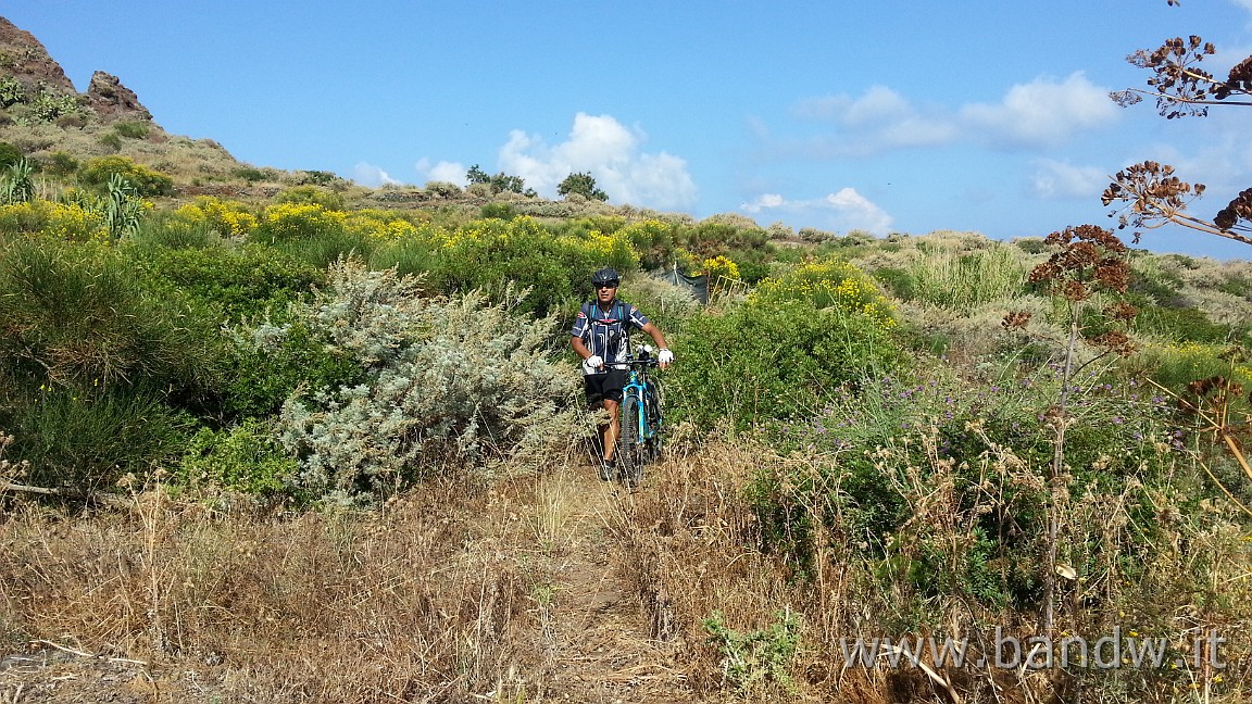 DSC_0036.JPG - Beh, ogni tanto tocca spingere in mezzo ai rovi