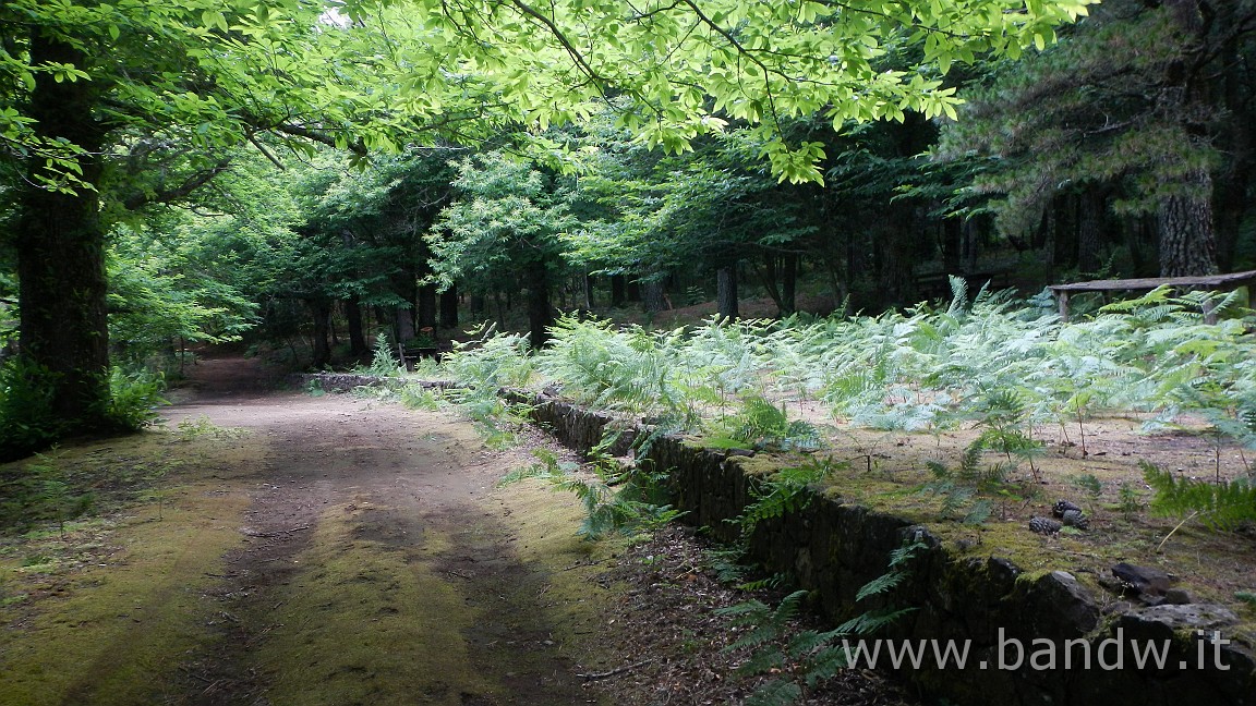 DSCN3508.JPG - Dentro il cratere di Monte Fossa delle Felci