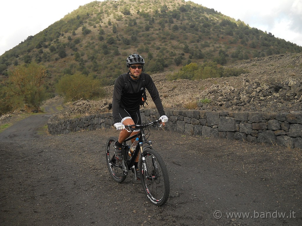 DSCN1646.JPG - bikeraetnensis in posa atletica