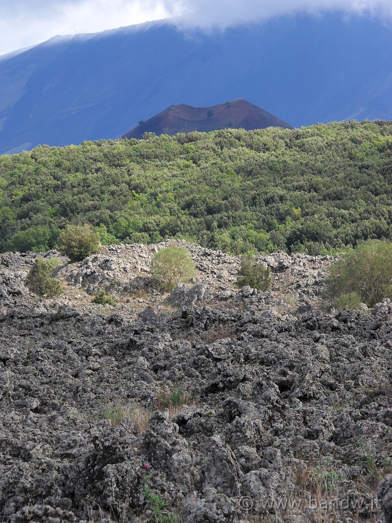 SDC17884.JPG - Monte Nuovo (1670 mt) e l'Etna sullo sfondo