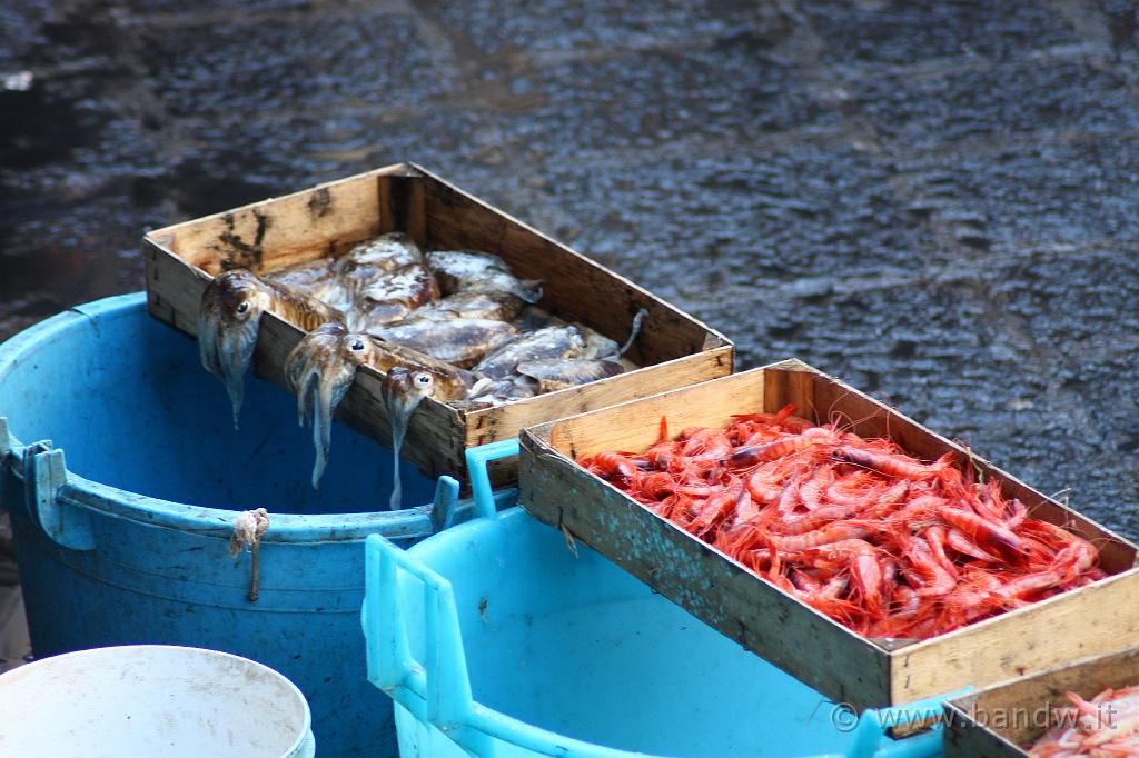 Pescheria Catania_004.JPG - Pesce Fresco