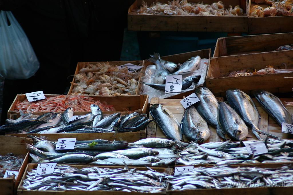 Pescheria Catania_005.JPG - Pesce Fresco