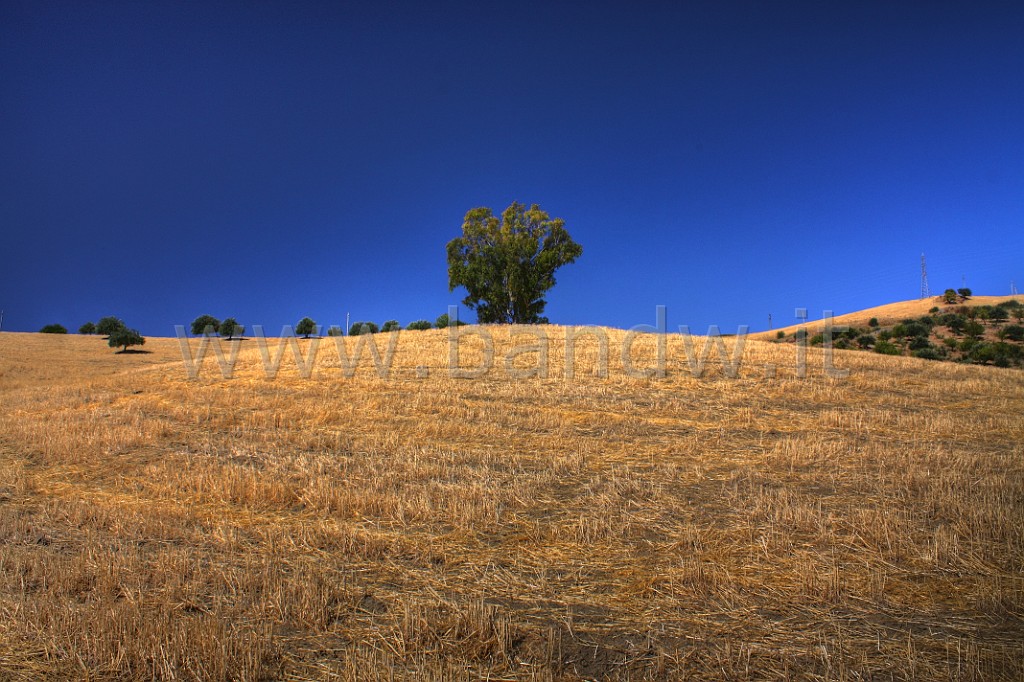 IMG_5196And2More_tonemapped.jpg