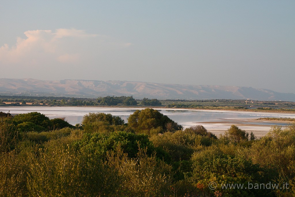 Marzamemi_088.JPG - L'oasi di Vendicari asciutta dal caldo estivo