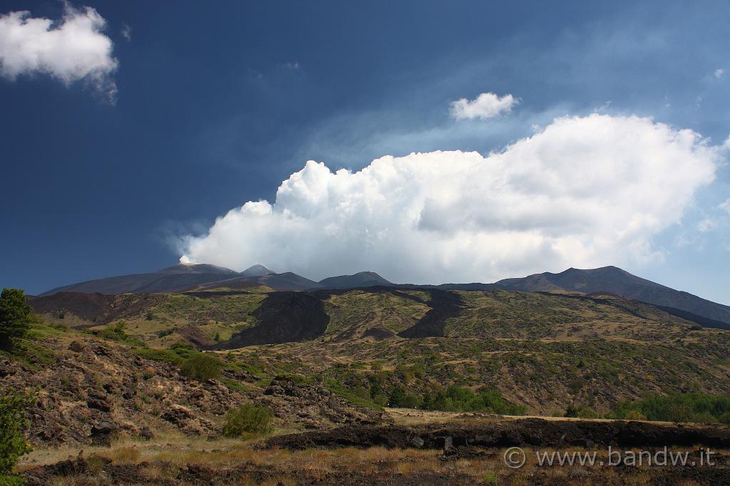 IMG_4565.JPG - L'Etna, le colate laviche e la sua vegetazione