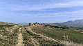 IMG_20240217_084026