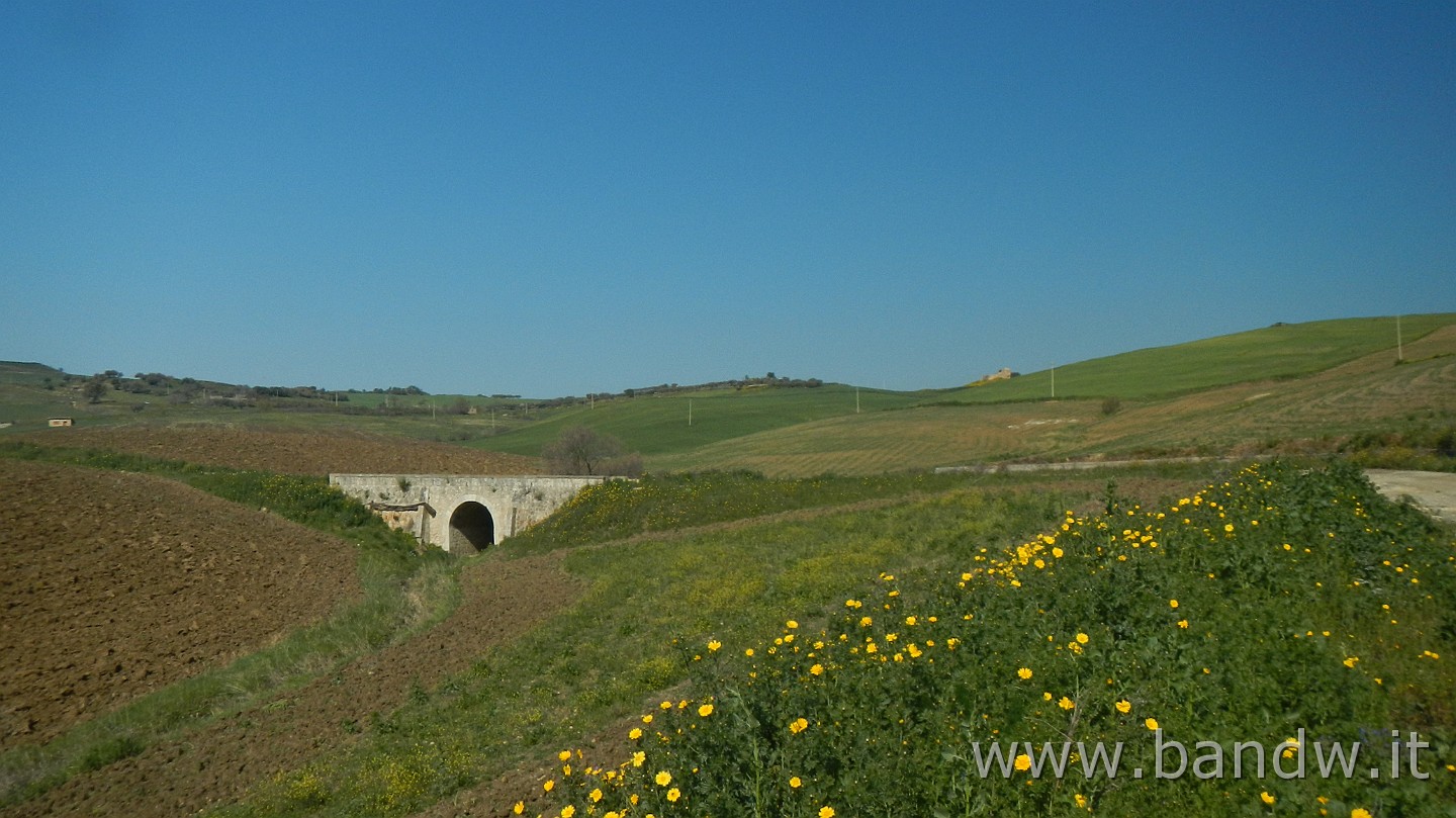 DSCN9452.JPG - Paesaggi Siciliani primaverili