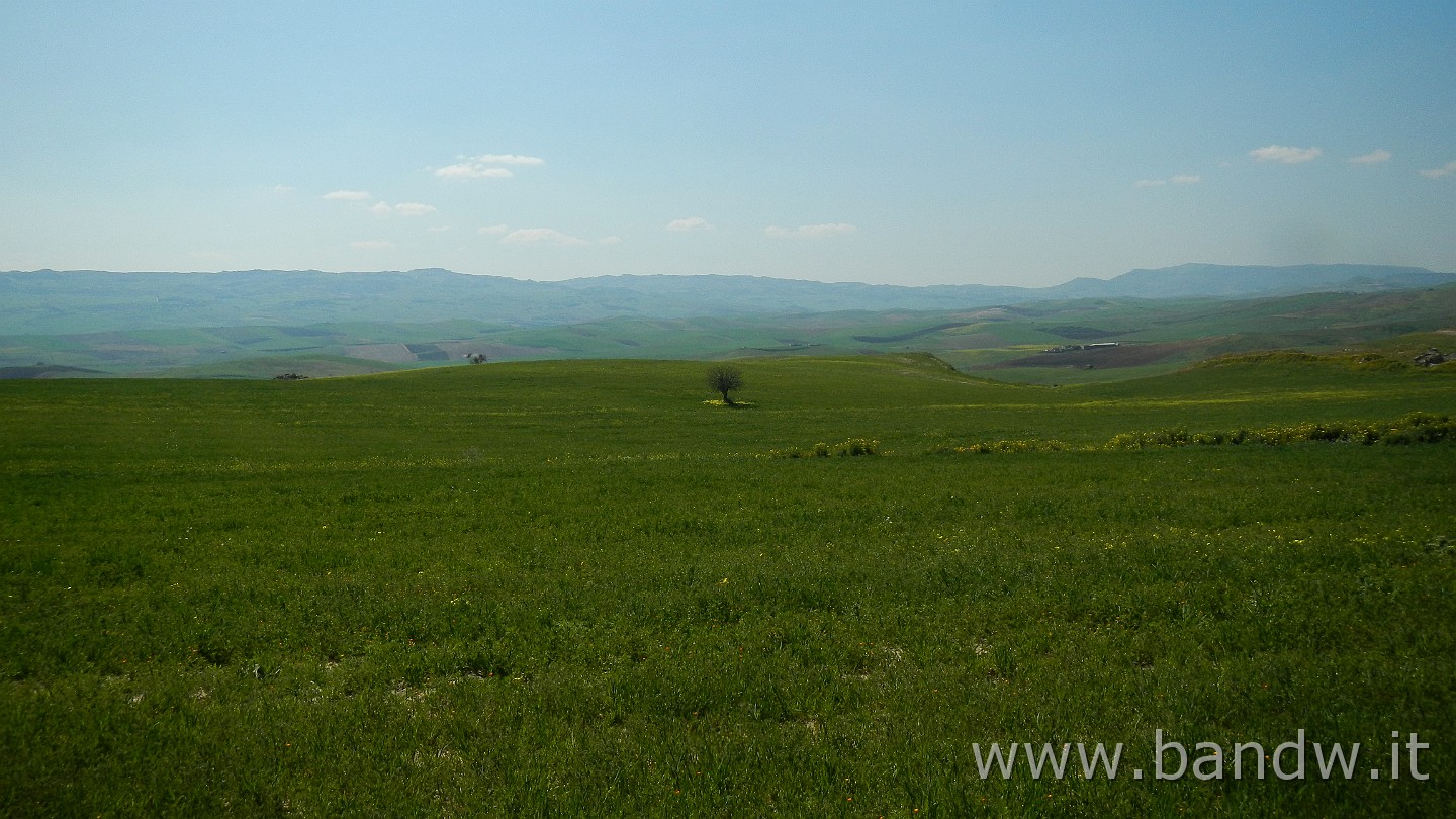 DSCN9468.JPG - Paesaggi Siciliani