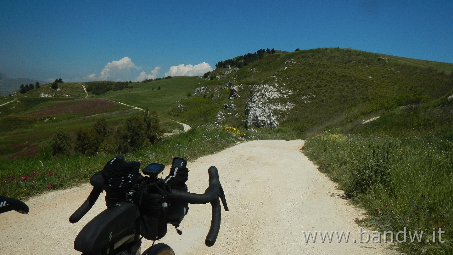 DSCN9670.JPG - Direzione Bosco di Finestrelle