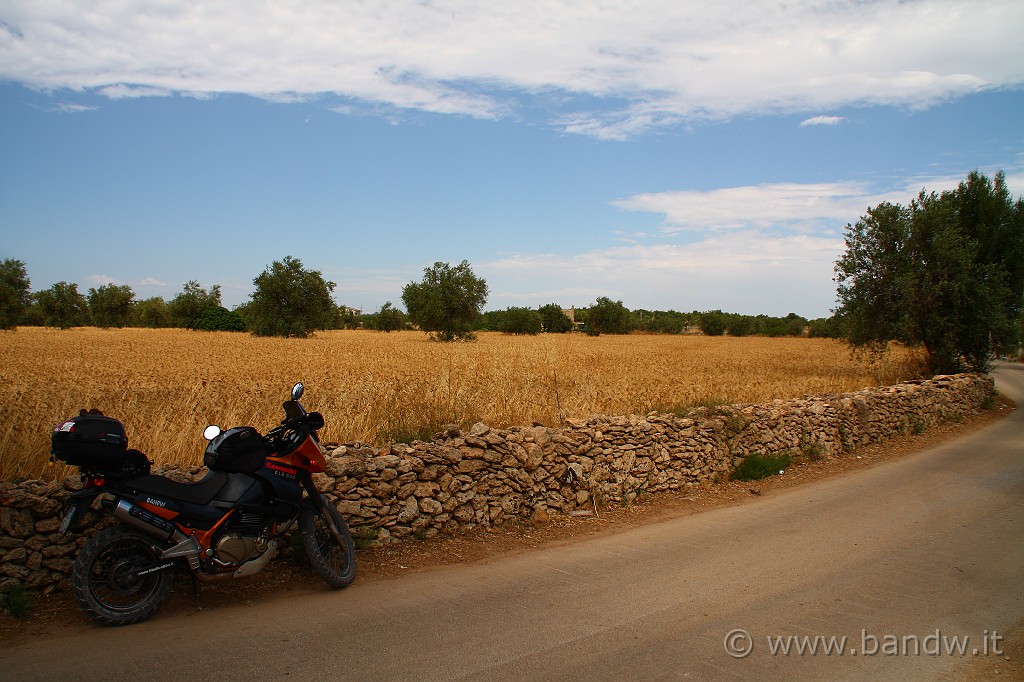 CapoPasseroCapoNord_002.JPG - Prima tappa, una sosta in zona Vendicari