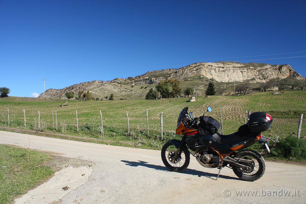 Centro_Sicilia_038.JPG - ......... che la mia terra mi offre.....