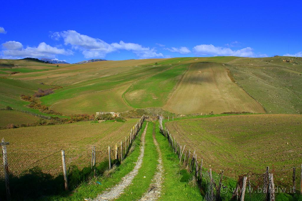 Centro_Sicilia_042.JPG - ....... che spettacolo (anche se ho forzato un pò i colori)......