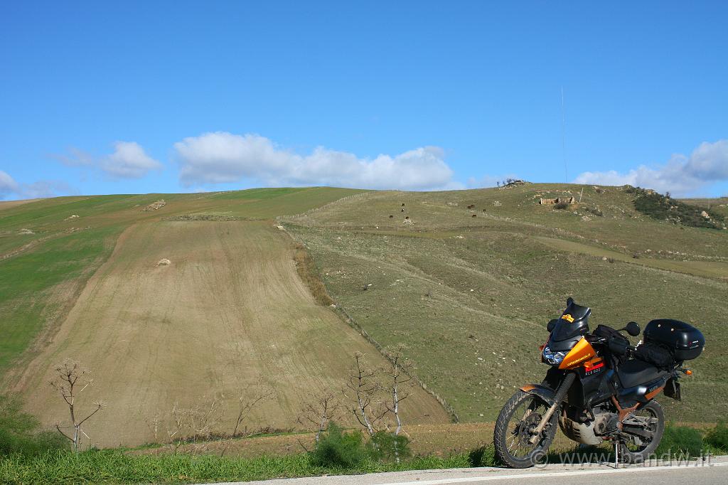 Centro_Sicilia_043.JPG - ...........meraviglioso......