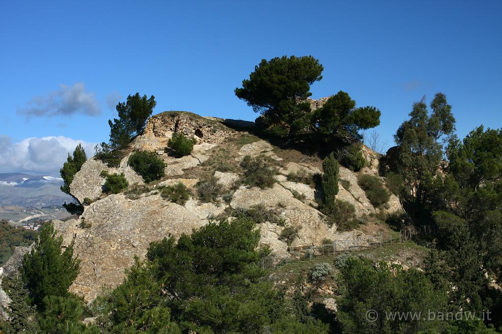 Centro_Sicilia_060.JPG - .......scatto qualche foto....