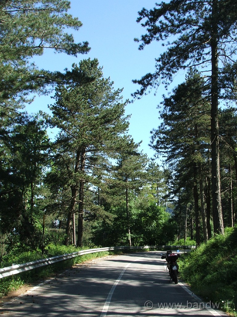 Nebrodi_Tour_006.JPG - Adesso scendiamo dalla SS185 e ci gustiamo la natura