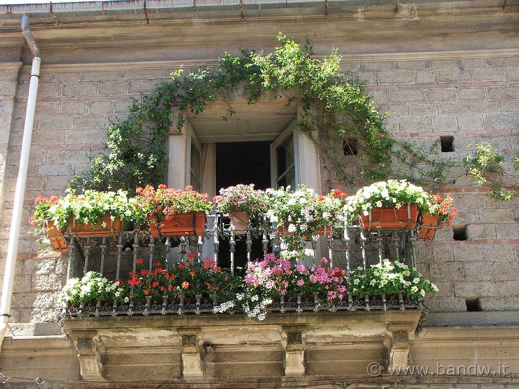 Nebrodi_Tour_021.JPG - Balconi in fiori a Novara di Sicilia