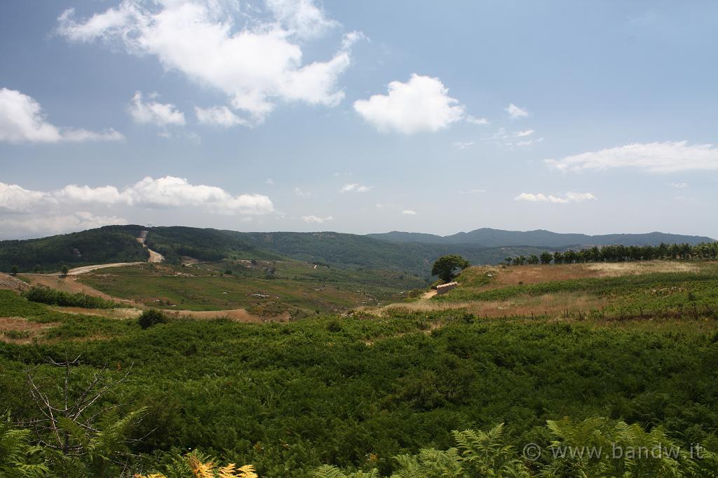 OnTheRoad_037.JPG - SP 110 - Panorama